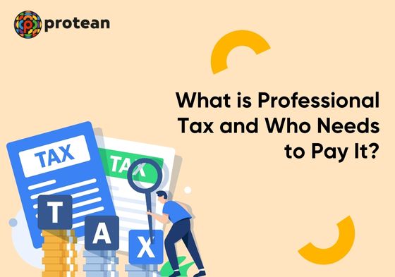 professional-tax-guide-card